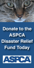Click HERE to donate ! ! !